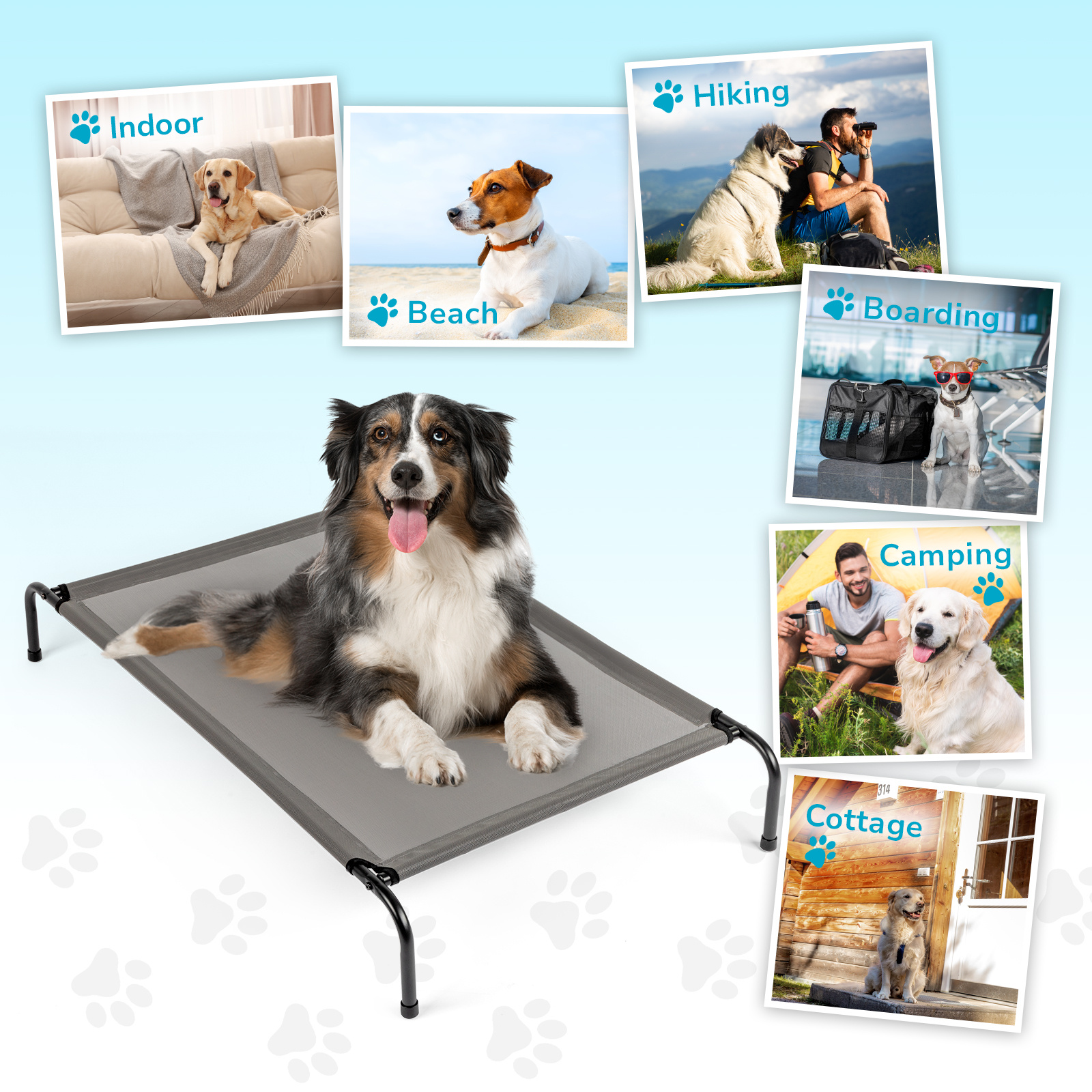 Pet Beds - Image 10