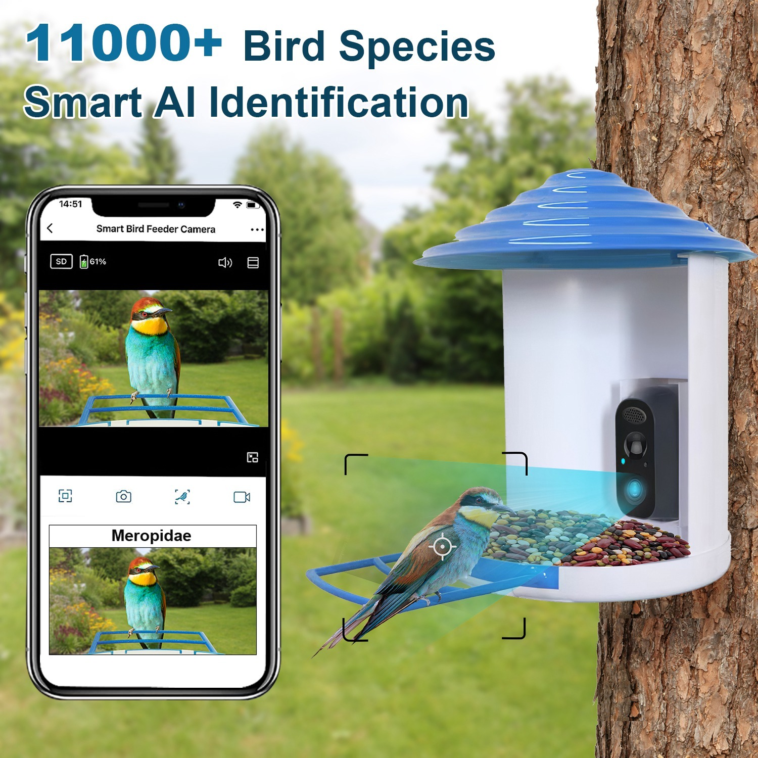 Smart Bird Feeder With Solar Powered Camera 1080P HD AI Identify PIR Motion Auto Capture Video Cloud Card Storage WiFi Connection App Control IP65 Waterproof - Image 5