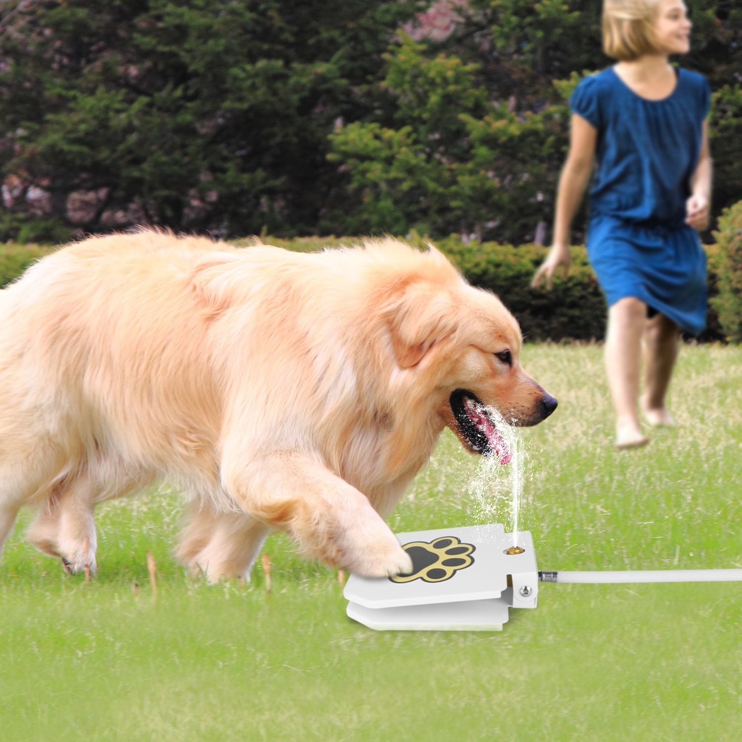 1Pc Dog Water Fountain Outdoor Dog Pet Water Dispenser Step-on Activated Sprinkler With Interactive Paw Pedal Valve For Drinking Water - Image 4