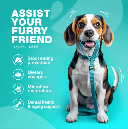 No Poo Chews For Dogs Coprophagia Deterrent For Dogs Forbid For Dogs Stool Eating Deterrent Dog Probiotics For Digestive Health Digestive Gut Immune Health Treats No Poop Eating For Dogs - Image 3