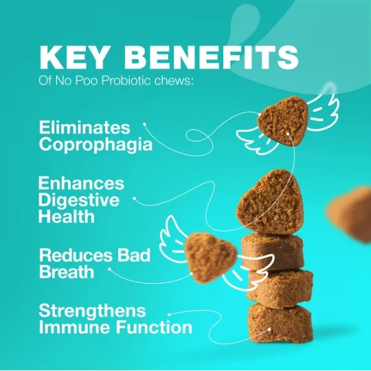 No Poo Chews For Dogs Coprophagia Deterrent For Dogs Forbid For Dogs Stool Eating Deterrent Dog Probiotics For Digestive Health Digestive Gut Immune Health Treats No Poop Eating For Dogs - Image 2