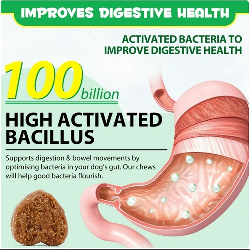 OEM Hot Sales Probiotics Chews For Pets Customized Shape - Image 4