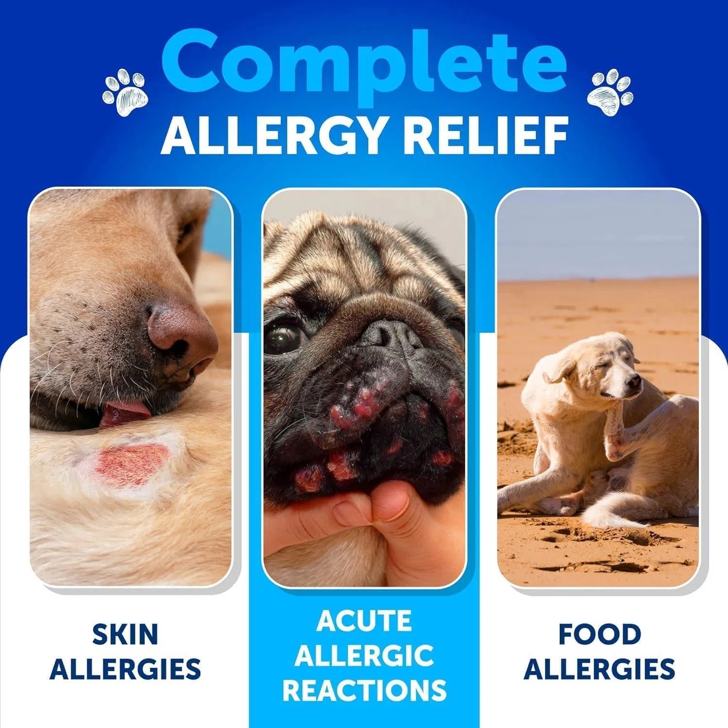 Dog Allergy Relief Chews Itching Skin Relief For Dogs Fish Oil 3 Seasonal Allergies Pills Skin & Coat Anti ItchHot Spots Treatment Canine Immune Health Supplement 120 Soft Treats - Image 5